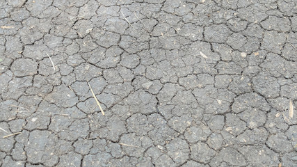 Cracked in Black Dry Soil Ground Background Texture