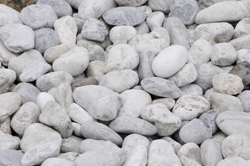 一面の 海辺の白い石