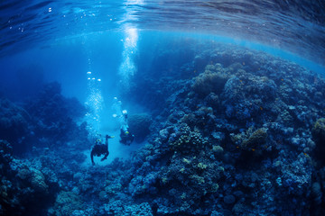 Fototapeta na wymiar Divers underwater