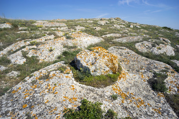 Fototapeta na wymiar Picturesque stone slope in the Crimea.