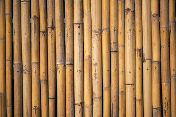 Fototapeta premium old bamboo background