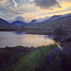 Quiet sunset scenery in icelandic fjord