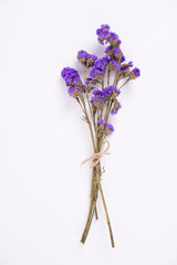 dried purple flower on white backgroud