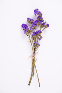 Fototapeta dried purple flower on white backgroud