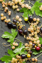 White and black currants with leaves on a dark background, top v