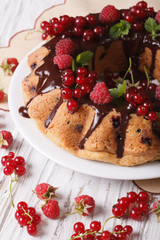 berry cake with chocolate icing close-up on a plate. vertical