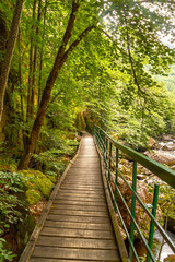 Beautiful eco path near Devin, Bulgaria