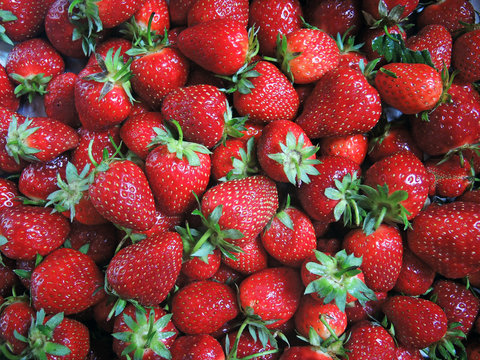 Erdbeeren - strawberries