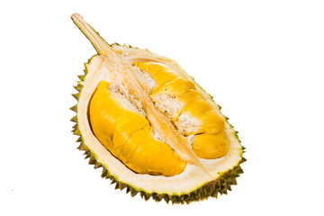 Freshly harvested durian fruit with delicious golden yellow soft flesh
