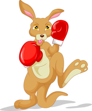 cute kangaroo cartoon wearing boxing glove