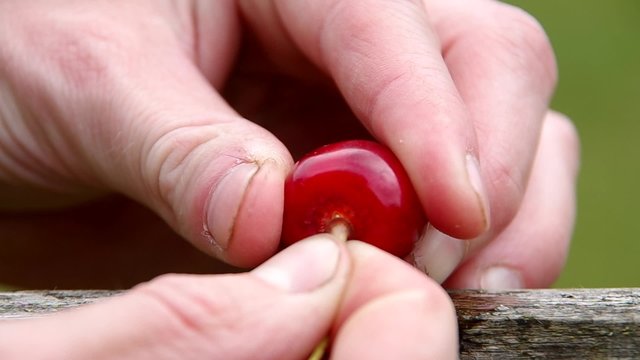 Cherry and the core of cherries
