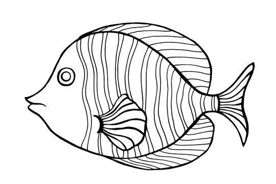 Hand Drawn Fish