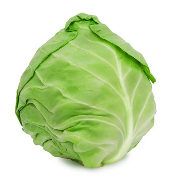 Fresh green ripe cabbage isolated on white background. Design element for product label, catalog print, web use.