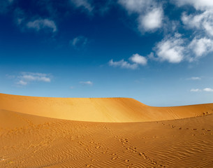 Desert