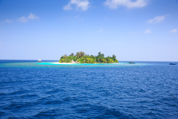 lonely island with palm trees in the Indian Ocean , Maldives