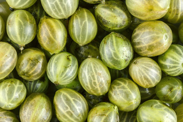 Gooseberries