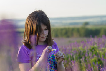 Fototapeta premium Cute little girl with a camomile in the hands among purple flowers on the field