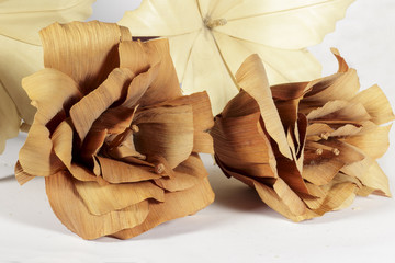 Two brown paper flowers in front of other cream
