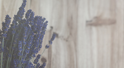 Lavendel Hintergrund Holz