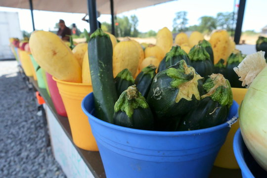 Buckets of Zucchini in Farmers Market