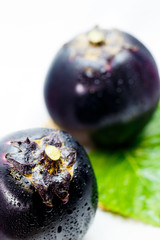 large round eggplant of a vegetable indigenous to Kyoto. Japan / Kamonasu, large round eggplant of Kyo-yasai (vegetable indigenous to Kyoto)