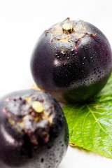 large round eggplant of a vegetable indigenous to Kyoto. Japan / Kamonasu, large round eggplant of Kyo-yasai (vegetable indigenous to Kyoto)