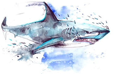 Photo sur Plexiglas Peintures requin