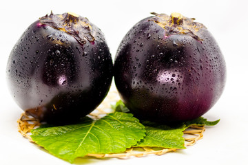 large round eggplant of a vegetable indigenous to Kyoto. Japan / Kamonasu, large round eggplant of Kyo-yasai (vegetable indigenous to Kyoto)