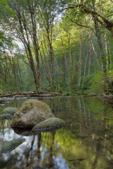 Falls Creek in Gifford Pinchot National Forest in Washington State
