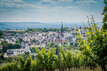 Kiedrich Rheingau Hessen