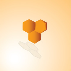 bee comb icon vector