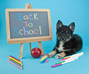 Back To School!