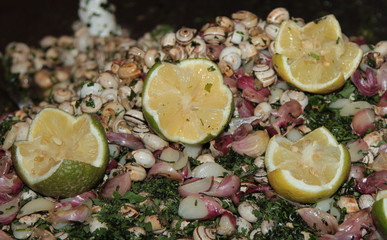 Lumache