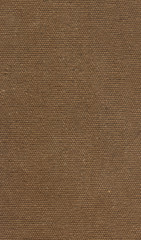 Canvas Texture