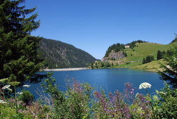 lac de st gu&eacute;rin-savoie