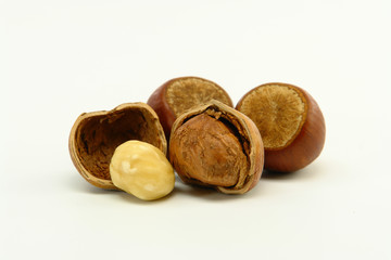 Hazelnuts on White Background