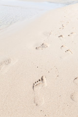 Fototapeta na wymiar Footprints on the beach