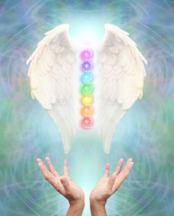 Sacred Angel Chakra Healing - White Angel wings with seven chakras between on an intricate blue energy background and a pair of hands reaching up to the healing source    