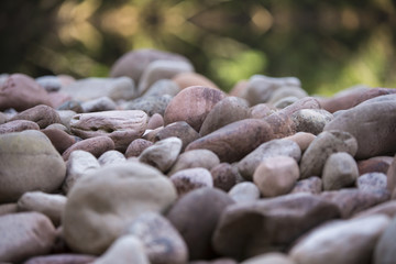 Grass, stones water with defocussed background, Venezuela