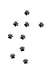 Paw Claw as a trail - Vector