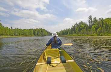 Canoer on a North Woods Lake