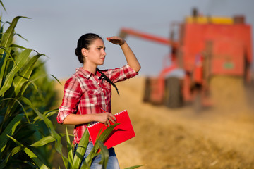Woman agronomist in wheat field © Budimir Jevtic