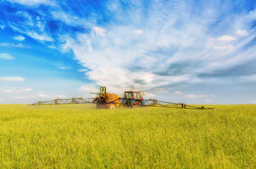 Farming tractor spraying green field