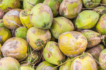 Group of green coconuts