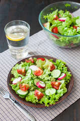 Tomato and cucumber salad with lettuce leafes