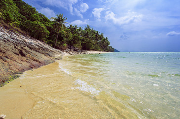 Palm tree with sunny day. Taling Ngam Beach. Koh Samui island. Thailand.