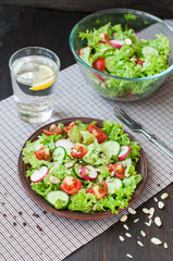 Tomato and cucumber salad with lettuce leafes