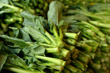 Asian fresh mustard greens