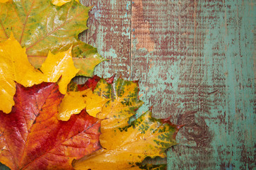 Autumn leaves over wooden background