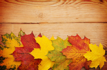 Autumn leaves over wooden background